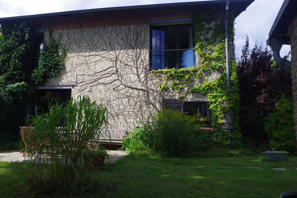Haus Am See In Kleinzerlang Eksteriør bilde